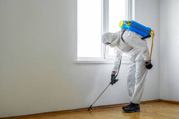 Pest Control for Restaurants in West Fork, AR