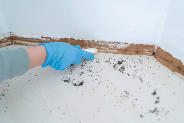 Pest Prevention Services in West Fork, AR
